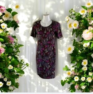 LulaRoe dress shirtsleeves Blue pink brown red white size XXS in excelle…